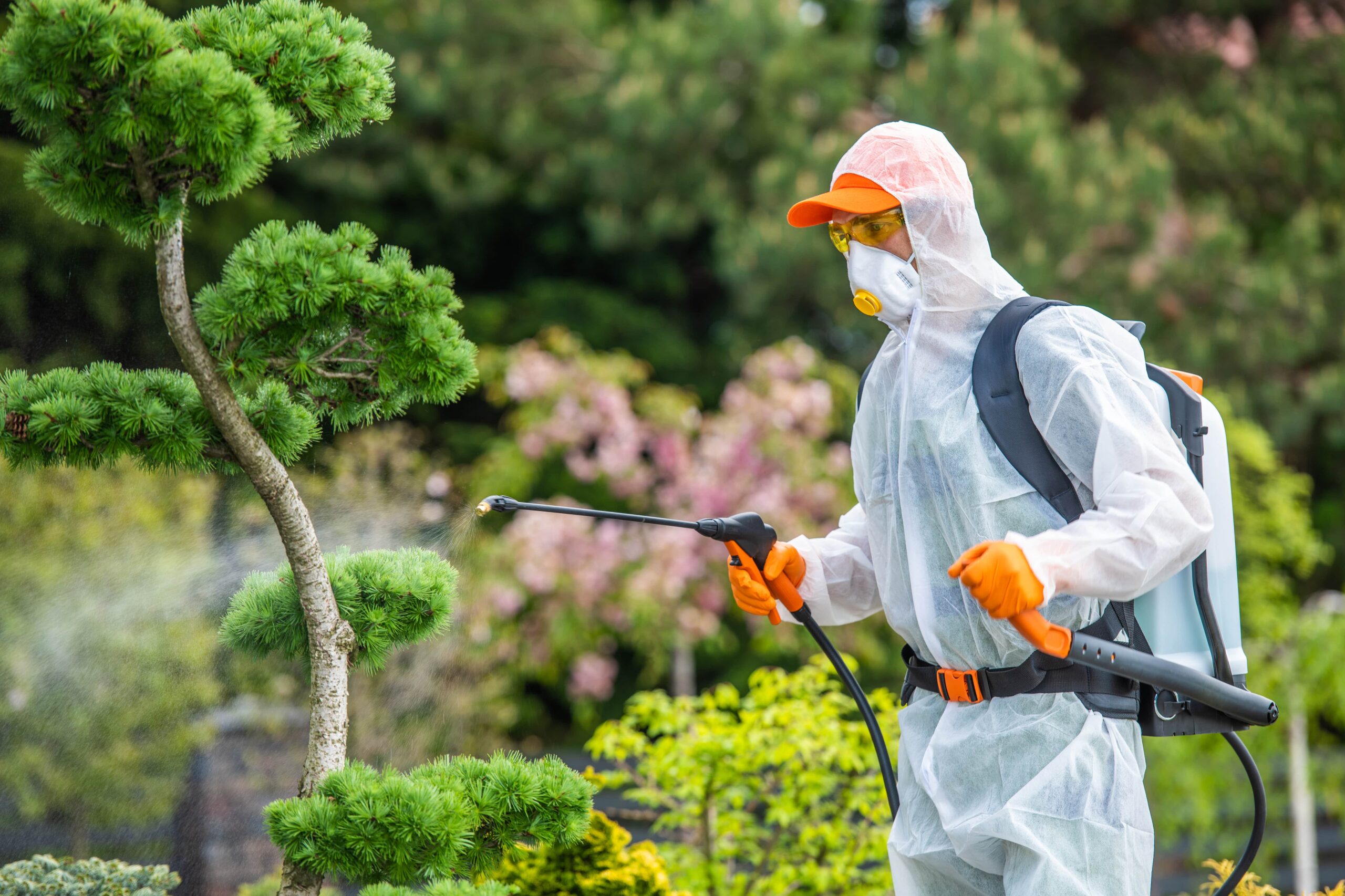 Professional pest control worker in protective gear spraying a tree as part of Dallas termite control services to prevent infestations.